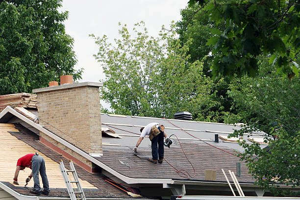 Best Roof Repair Services  in Suncoast Estates, FL