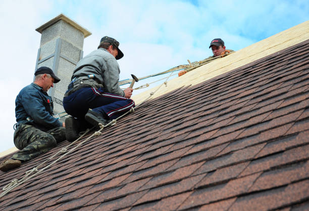 Best Roof Leak Repair  in Suncoast Estates, FL