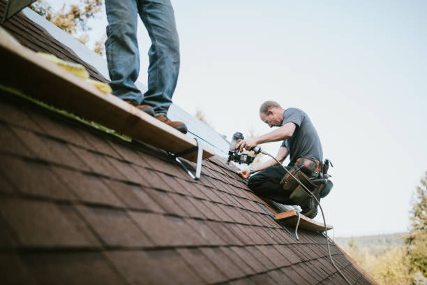 Best Flat Roof Repair Services  in Suncoast Estates, FL